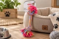 ZOLUX Zabawka sznurowa dla psa 2 węzły kolorowa 30 cm