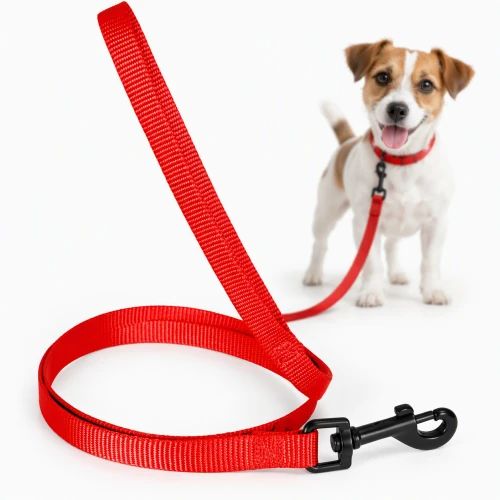Smycz dla psa ZOLUX nylonowa 1,20m/10mm czerwona