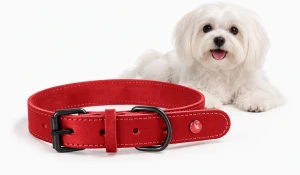 Obroża dla psa ZOLUX skóra klasyczna 35cm bordowa
