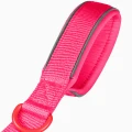 ZOLUX Smycz dla psa z nylonu premium 1,2m/20mm, fuksja