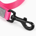 ZOLUX Smycz dla psa z nylonu premium 1,2m/20mm, fuksja