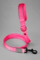 ZOLUX Smycz dla psa z nylonu premium 1,2m/20mm, fuksja